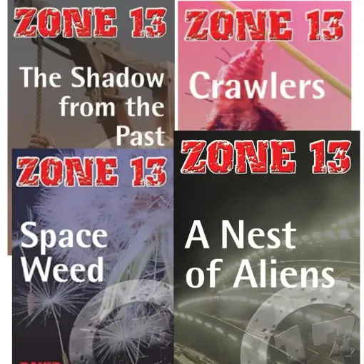 Picture of Zone 13 Pack of 4