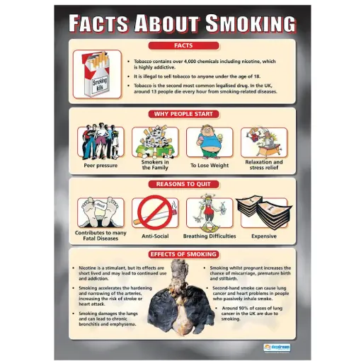 Picture of Facts About Smoking Wall Chart