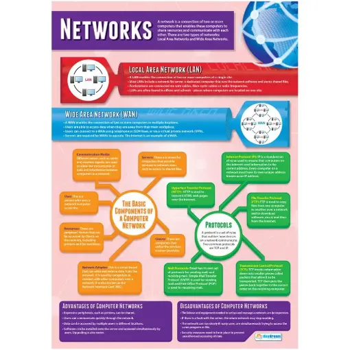Picture of Networks Wallchart