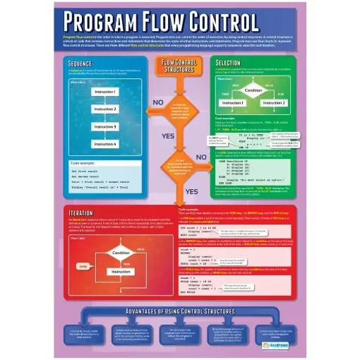Picture of Program Flow Control Laminated Wallchart