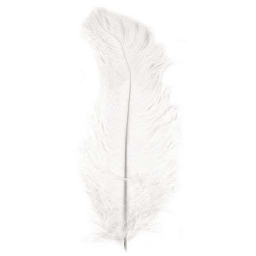 Picture of Rayher Ostrich's Feathers White
