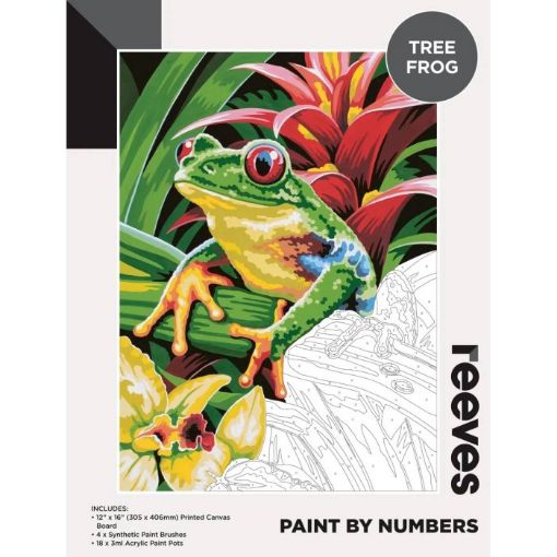 Picture of Reeves Paint by Numbers 12x16inch Frog