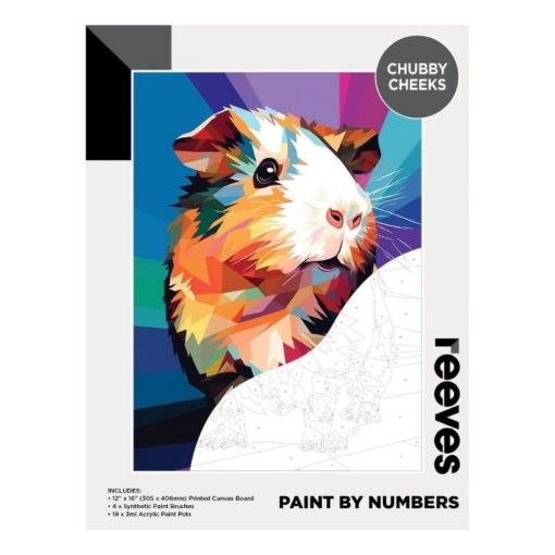 Picture of Reeves Paint by Numbers 12x16 inch - Chubby Cheeks